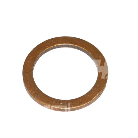 DICHTRING - 500255