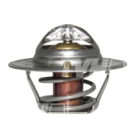 THERMOSTAT - 809167607571