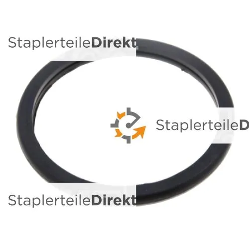 DICHTUNG - 905968