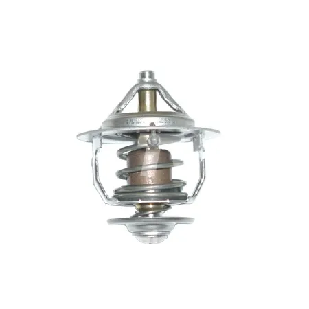 THERMOSTAT - 14368510