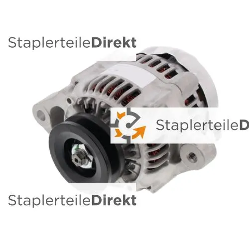 Lichtmaschine für Kooi Aap 12 V (Aufhängung 24,4x15,8 mm) Außendurchmesser Riemenscheibe 63 mm