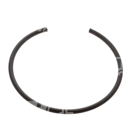 SPRENGRING - 0009071128