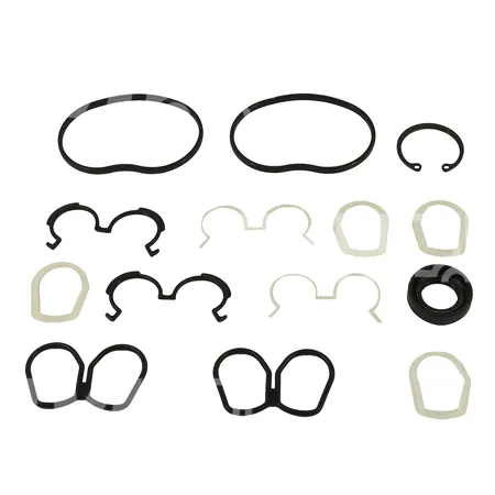 DICHTUNGSATZ ZAHNRADPUMPE - 30B6005011