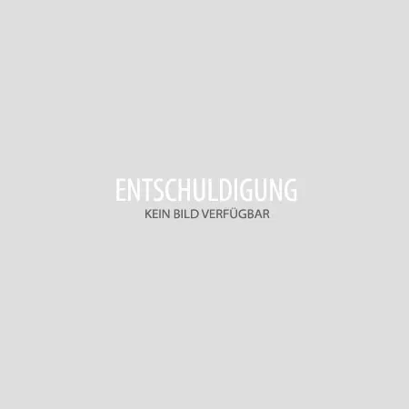 HYDRAULIKZYLINDER - 9305210060