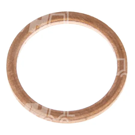 DICHTRING - 123TA9559