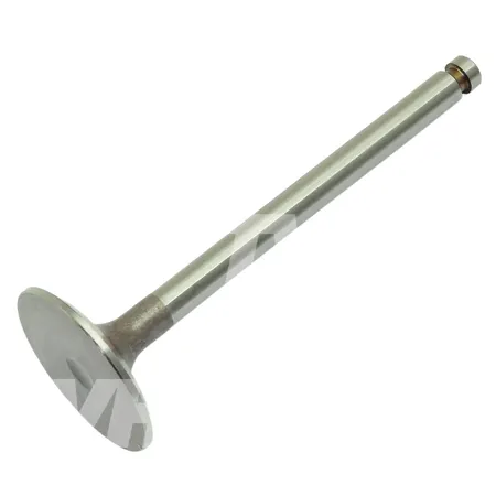 VENTIL MOTOR - 12390011100