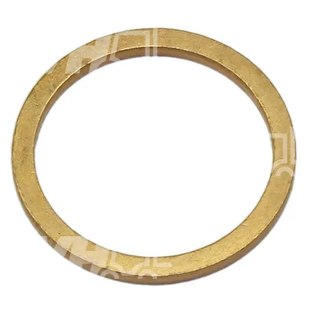 DICHTRING - 2118744