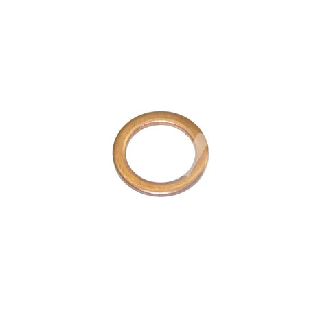 DICHTRING - 123TA8434