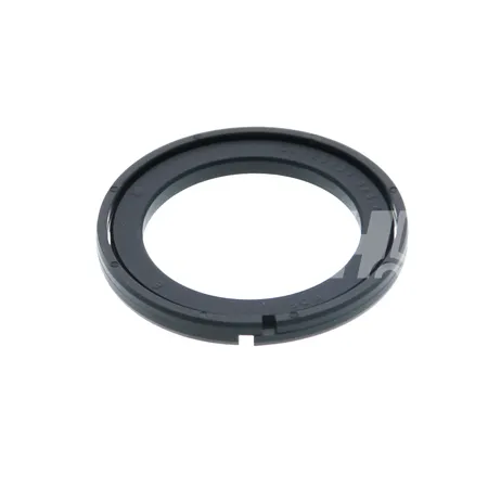 DICHTUNG - 807355