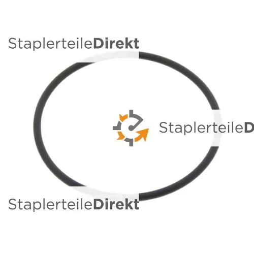 O-RING - 0550031065
