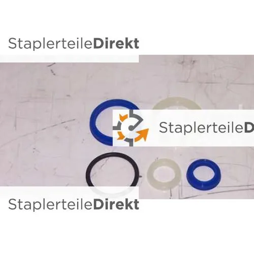 TotalLifter ACS Stainless steel  Dichtsatz