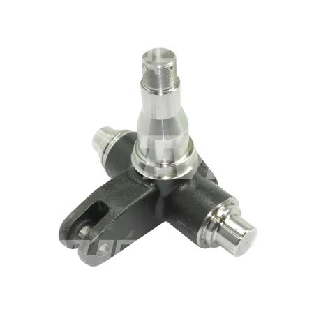 ACHSSHENKEL - 580042230