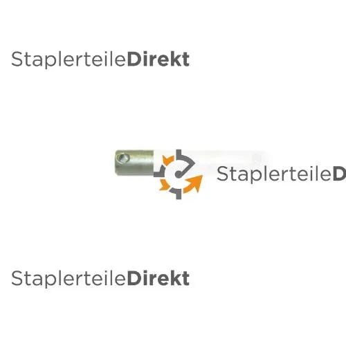 Kettenbolzen für Flyerkette 4 x 4 für Steinbock mit Kunststoffeinsatz Teilung 25,40 mm (1 Zoll)