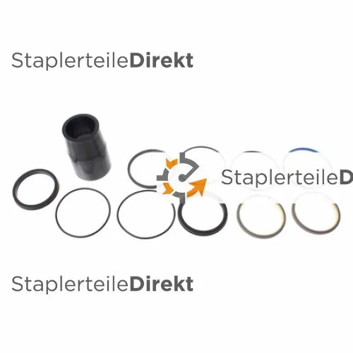 DICHTUNGSATZ ZYLINDER - 580026957