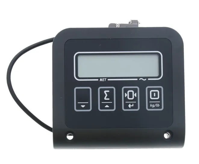 ARMATURENBRETT/INSTRUMENTENTAFEL - 24205586