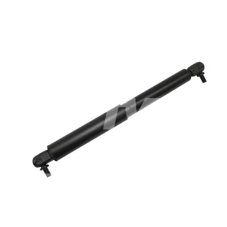 GASDRUCKFEDER-STOSSDAEMPFER - 2720654