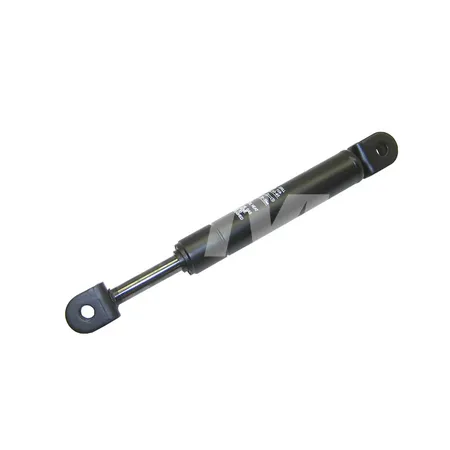 GASDRUCKFEDER-STOSSDAEMPFER - 8106300RS1A