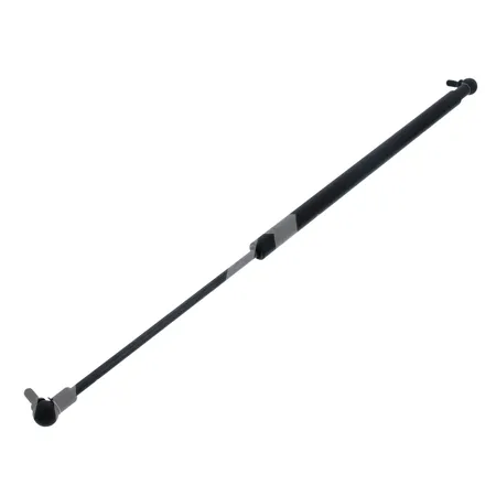 GASDRUCKFEDER-STOSSDAEMPFER - 8425795