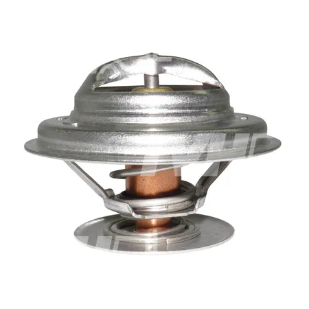 THERMOSTAT - 5112896