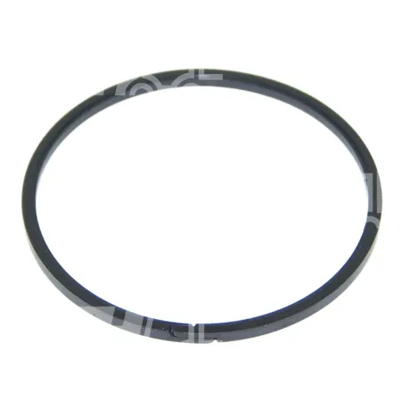 DICHTUNG - XKCF00063