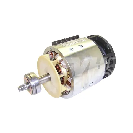 ELEKTROMOTOR - 50021048