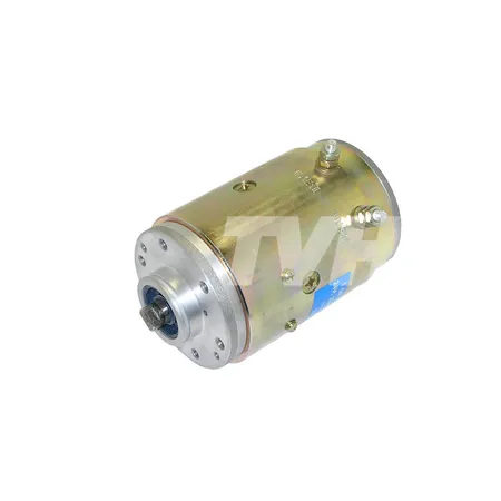 Pumpenmotor - 20424135