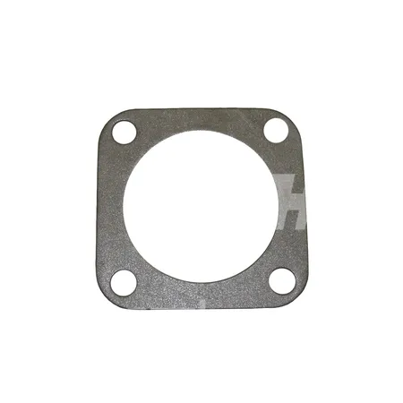 DICHTUNG - 50128887