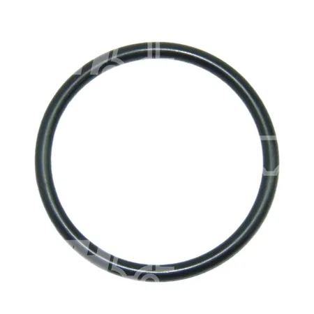 O-RING - 0009639091