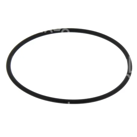 O-RING - 419673