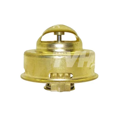 THERMOSTAT - 3134615100