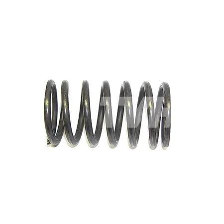 DRUCKFEDER - 134TA9098