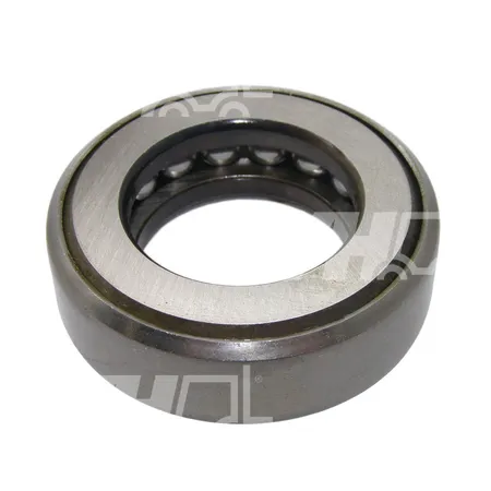 AXIALLAGER - 1901-55015