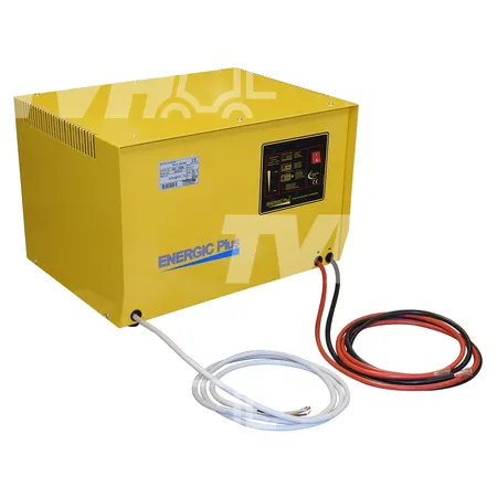 BATTERY CHARGER 24V 100A - 100MC8246