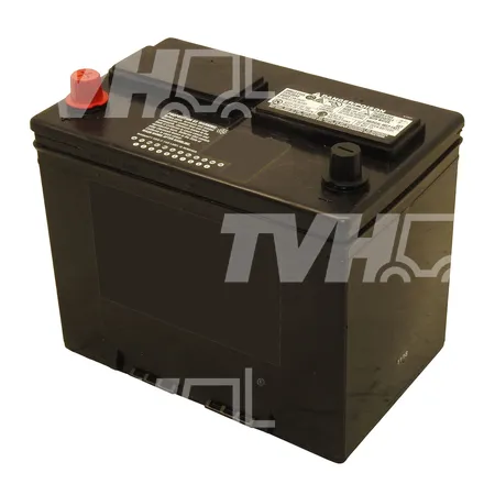 BATTERIE TROCKEN - 6673865