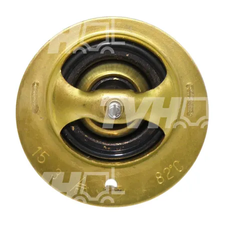 THERMOSTAT - 6262133