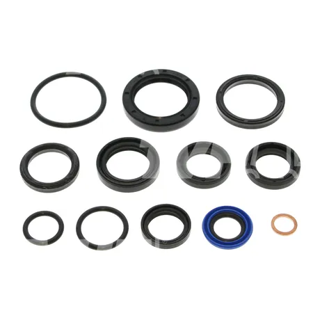 DICHTUNGSATZ HYDR. - 250250