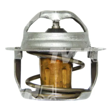 THERMOSTAT - 50471281