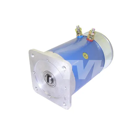 ELEKTROMOTOR - 580014492
