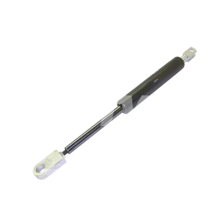 GASDRUCKFEDER-STOSSDAEMPFER - 0009655687