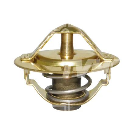 THERMOSTAT - 6262133
