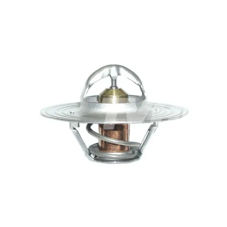 THERMOSTAT - 8806115