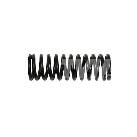 DRUCKFEDER - 12N53-82831