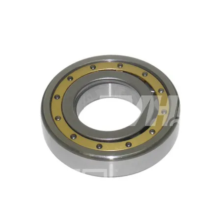 ROLLENLAGER - 9511003239