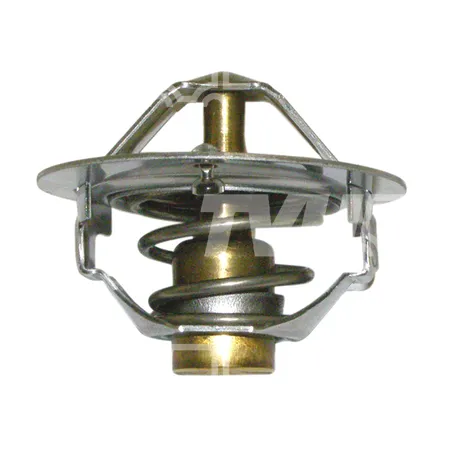 THERMOSTAT - 3232264