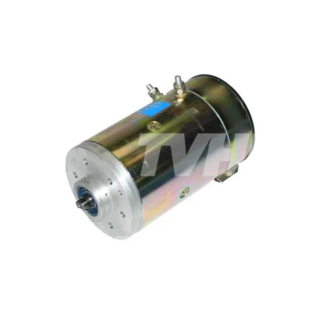 ELEKTROMOTOR - 50005729