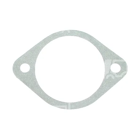 DICHTUNG - d500204