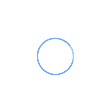 O-RING - 0023020008