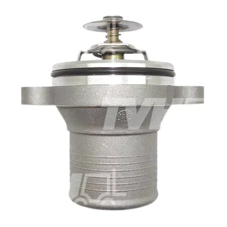 THERMOSTAT - 0996295