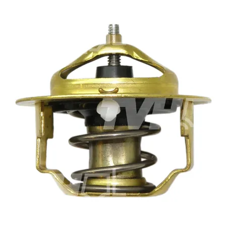 THERMOSTAT - 6262133
