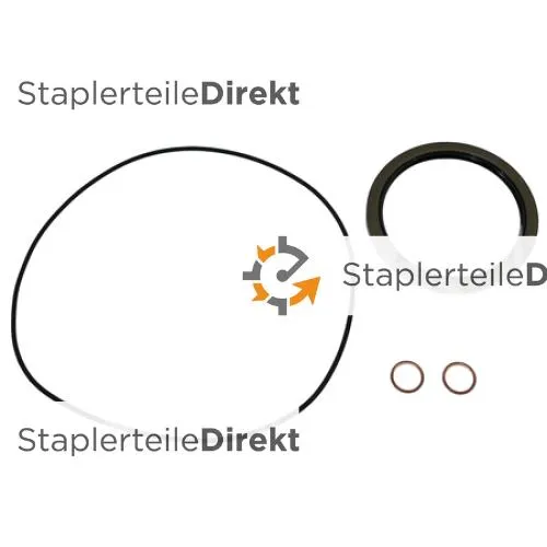 DICHTSATZ GETRIEBE - 50002509